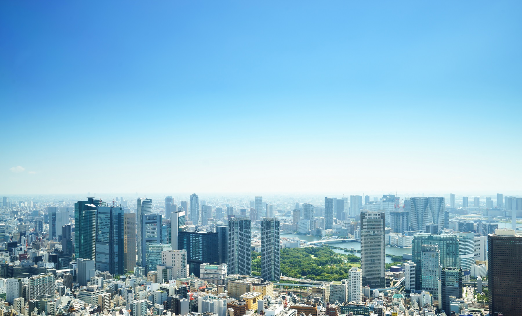 企業概要